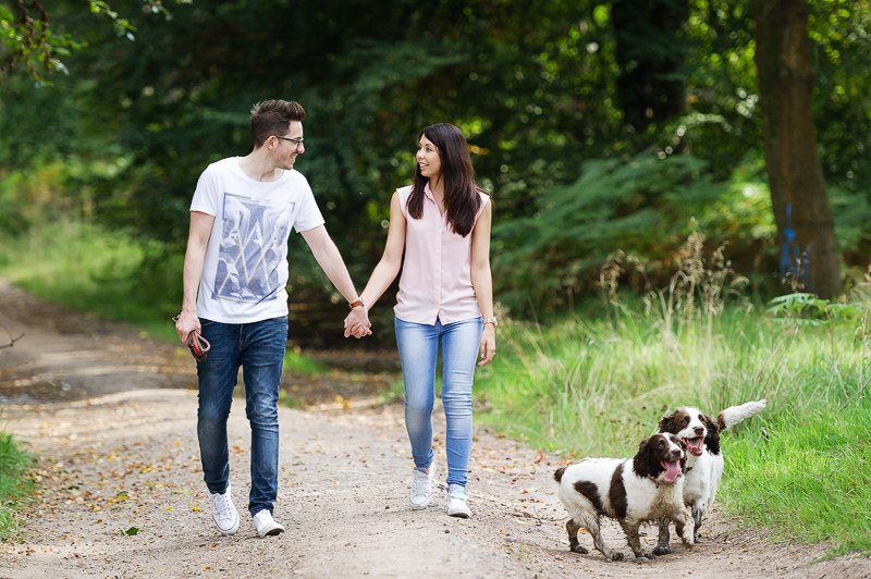 dog photographer