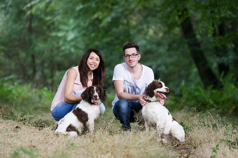 dog photographer in tafford