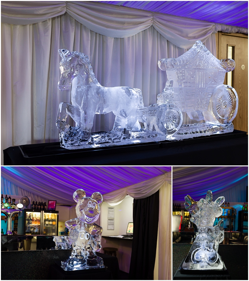 disney ice sculptures