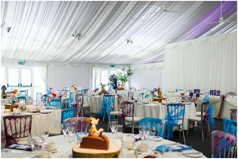 Disney theme at heaton house farm