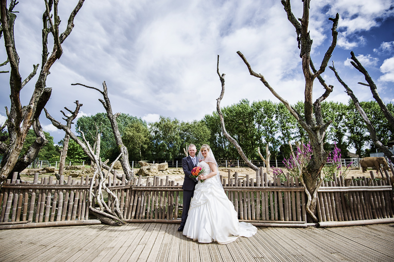 twycross zoo wedding photographer 