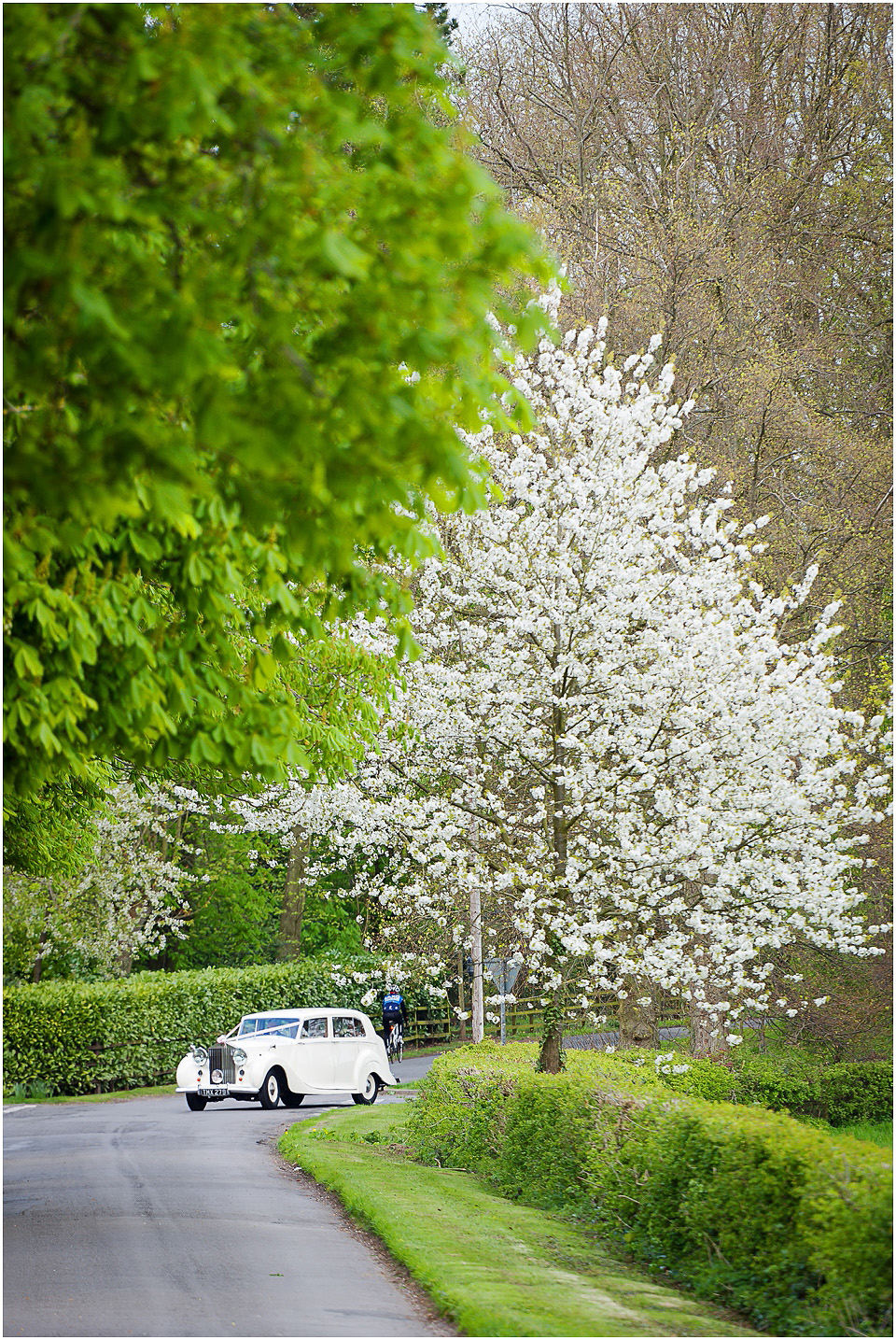 cupid carriages wedding cars