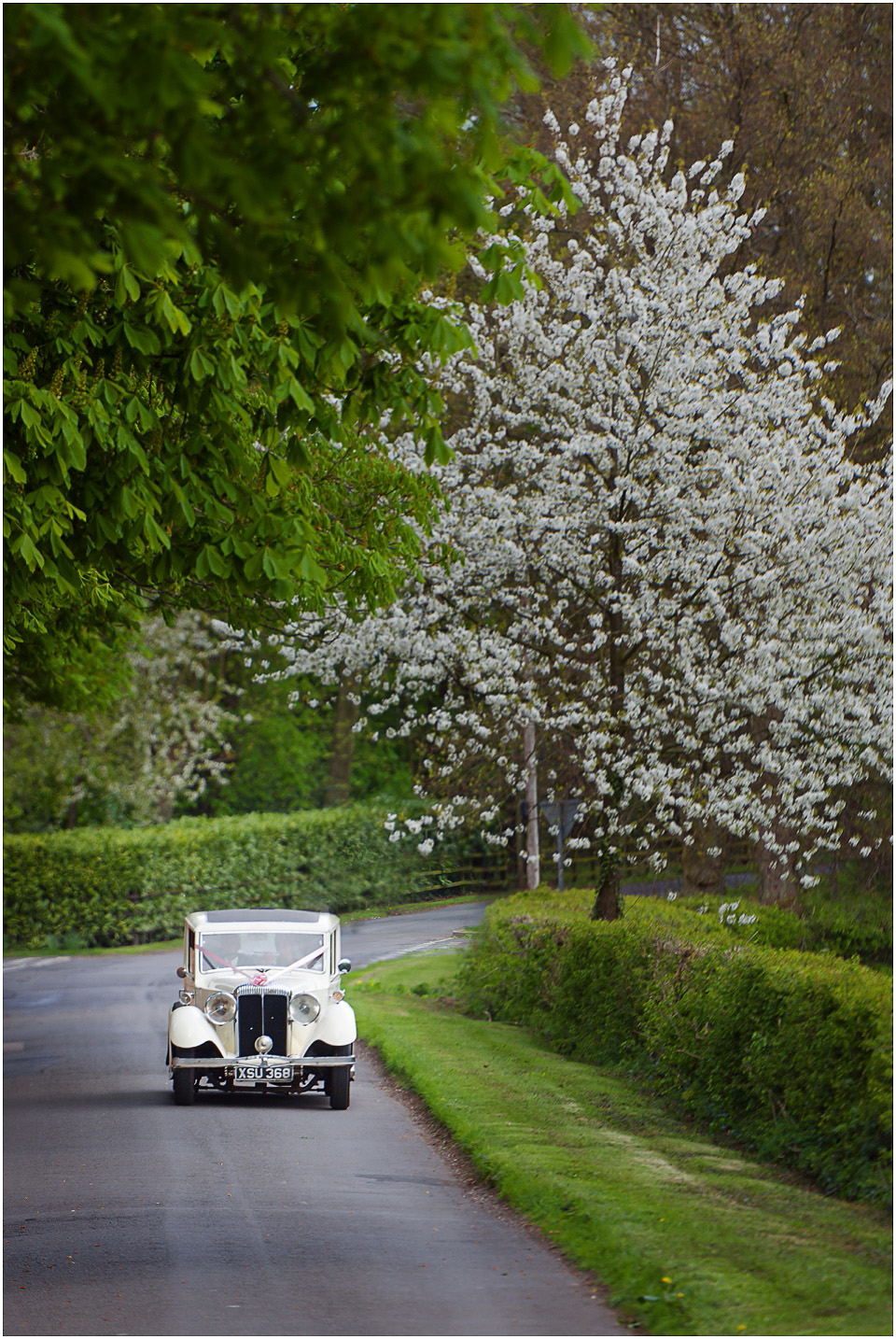 cupid carriages wedding cars