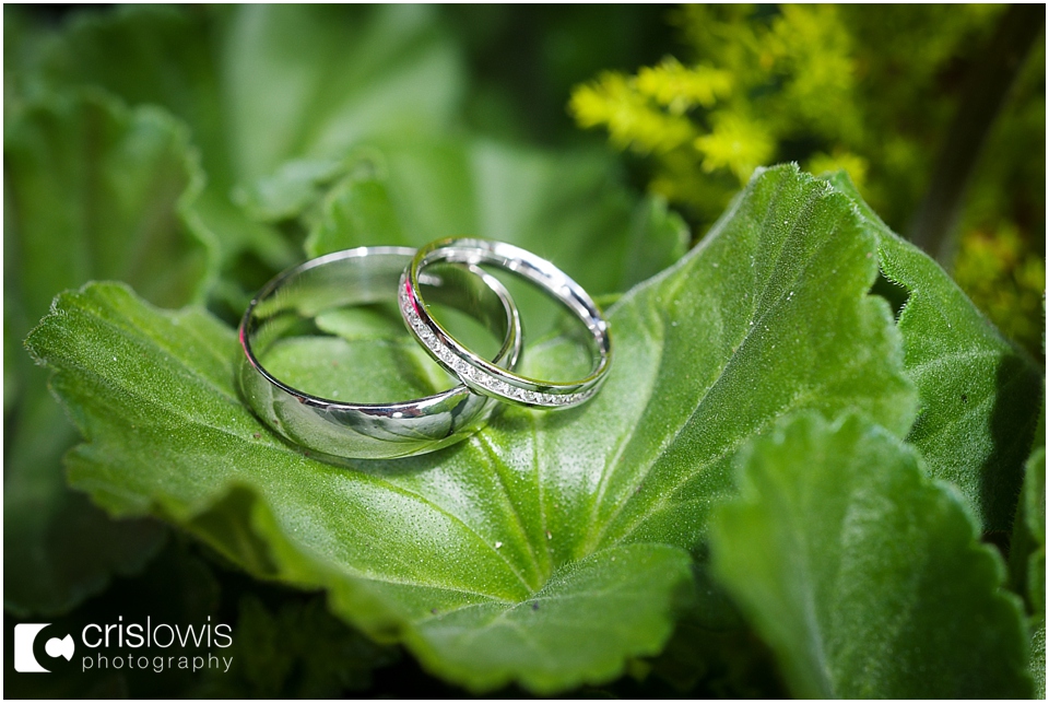 wedding rings cool shot