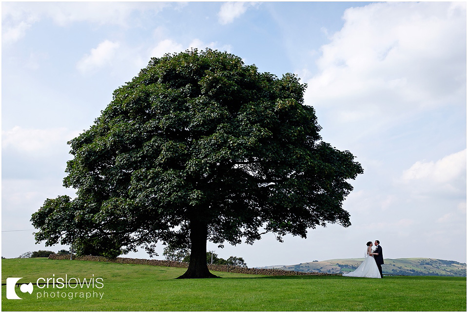 bride and groom under tree at heaton house farm
