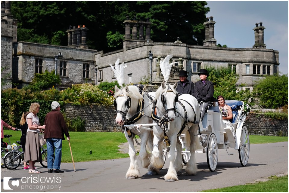 horse drawn carriage wedding