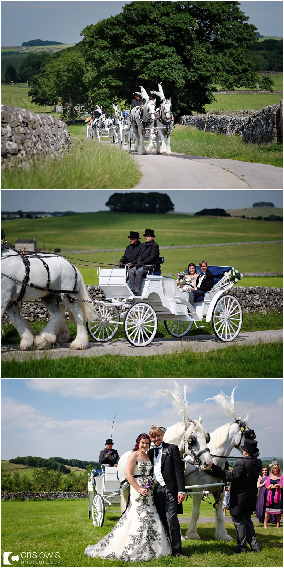horse drawn carriage wedding
