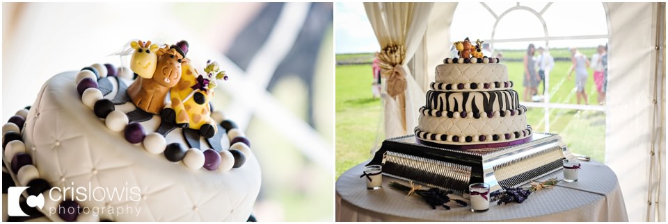 zoo theme wedding cake