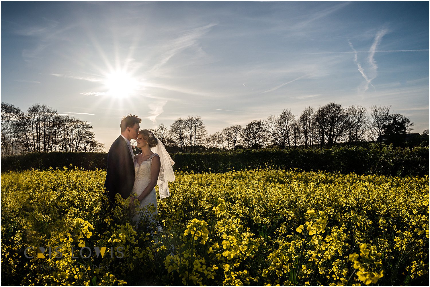 bride and groom portraits in oil seed rape field