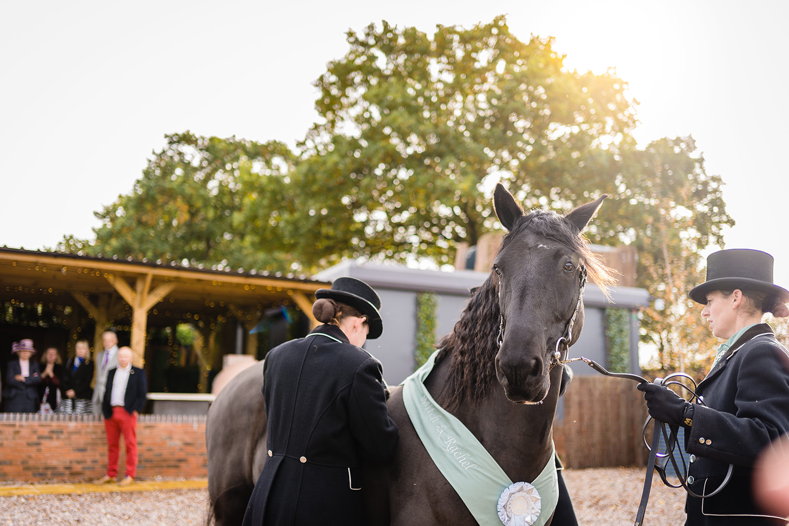 bride and groom see horse